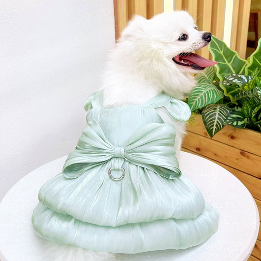Vestido de Boda para Mascotas - Ropa Elegante para Perros y Gatos - Image 72