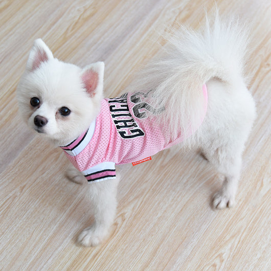 Chaleco Deportivo de Malla para Perros Talla Grande - Ropa Fresca para Verano - Image 4