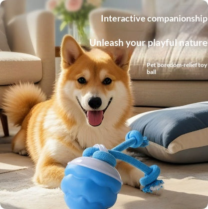 Juguete Interactivo Inteligente para Perros con Pelota Recargable - Image 6