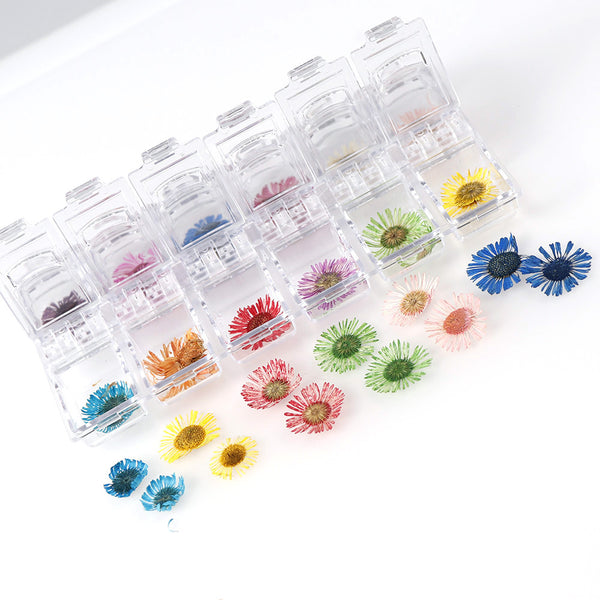 Set de 12 Cajas de Joyas con Flores Secas Naturales