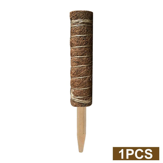 Palitos de Rábano Verde y Coco