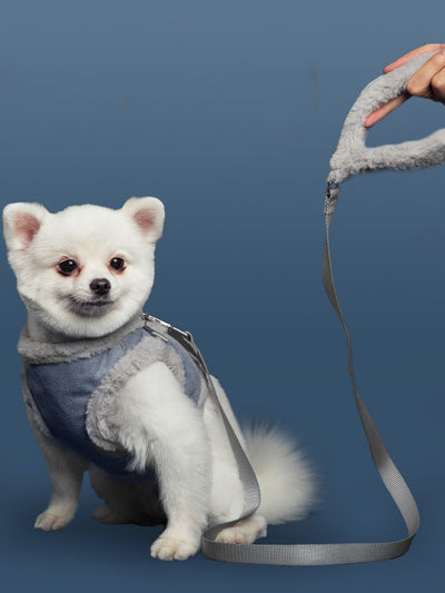 Correa Ajustable para Perro Pequeño y Mediano con Diseño Conejo Peluche - Image 5