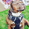 Arnés de Tracción Resistente para Perros Medianos y Grandes