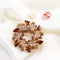 Crystal brooch, diamond-encrusted bauhinia brooch, brooch Brown