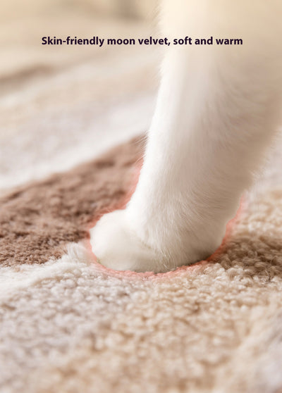 Cama Elevada para Mascotas con Respaldo Acolchado y Forro Térmico - Image 13