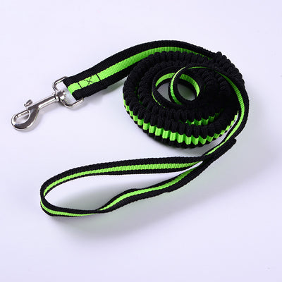Correa Elástica de Tracción para Perros Outdoor - Image 10