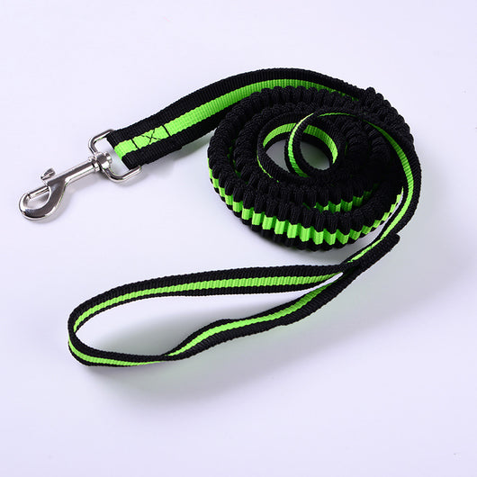 Correa Elástica de Tracción para Perros Outdoor - Image 10