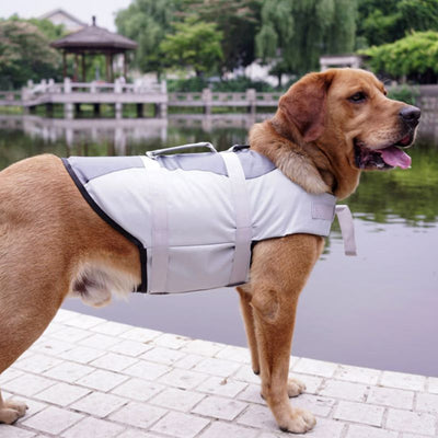 Chaleco Salvavidas para Mascotas