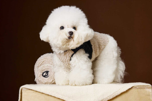 Chaleco de Terciopelo Acolchado Schnauzer Bichon sin Mangas - Image 9
