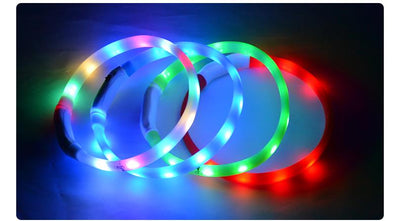 Collar Luminoso para Perros - Prevención de Pérdida - Image 6