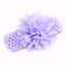 Morado B