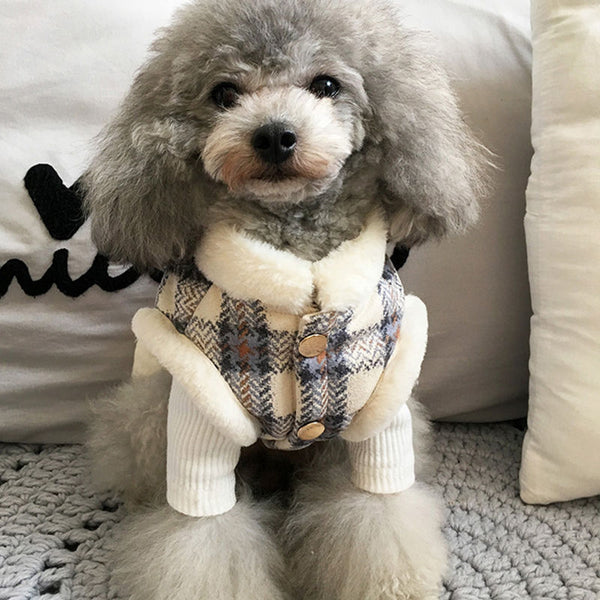 Abrigo de Algodón Cálido para Mascotas