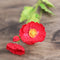 3 Flowers 1 Lace Rojo