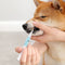 Kit Profesional de Limpieza y Reparación Dental para Perros y Gatos