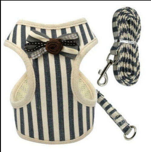 Chaleco Transpirable para Perros - Diseño Cómodo y Elegante - Image 9