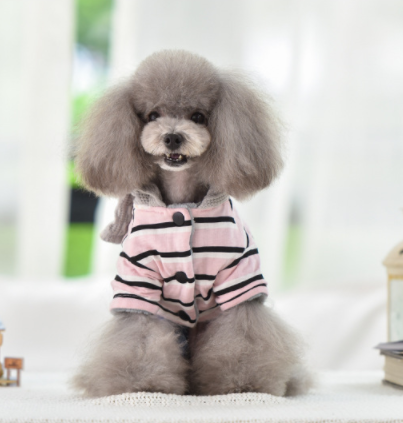 Ropa para Mascotas Bebé - Image 2
