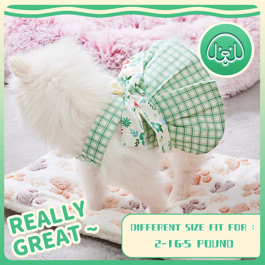 Vestido Arnés para Perro Pequeño Verano con Correa - Ropa Chihuahua y Mascotas - Image 4