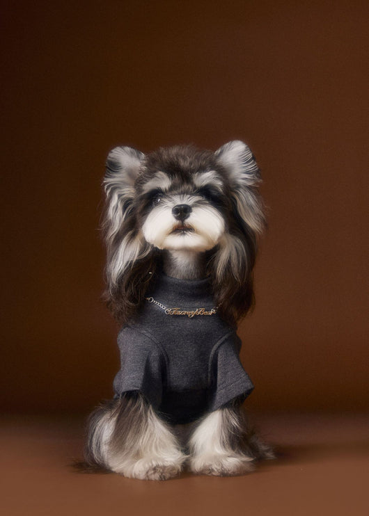 Camisa Interior Teddy Schnauzer - Diseño Elegante con Cuello de Dos Patas - Image 12