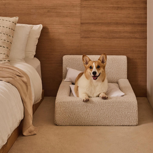 Cama Ortopédica Móvil para Perros y Gatos con Respaldo - Image 18