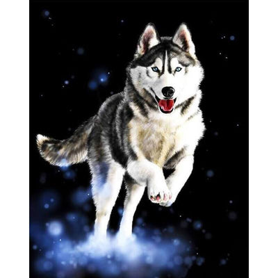 Cuadro Decorativo Husky