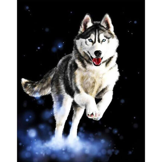 Cuadro Decorativo Husky
