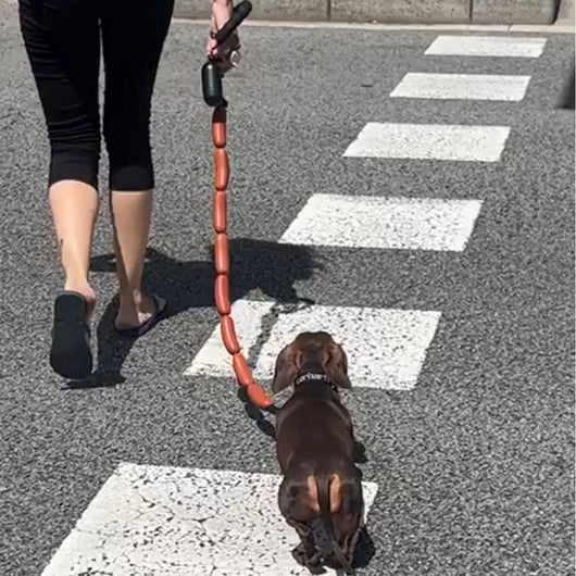 Juguete de Cuerda para Perro con Salchichas Grandes - Image 4