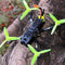 Dron de Carreras Darwin FPV BabyApe F4 - Set Completo con Control Remoto