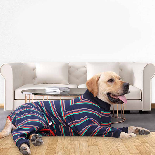 Pijama Elástico de Cuatro Patas para Perros con Cobertura Total - Image 11