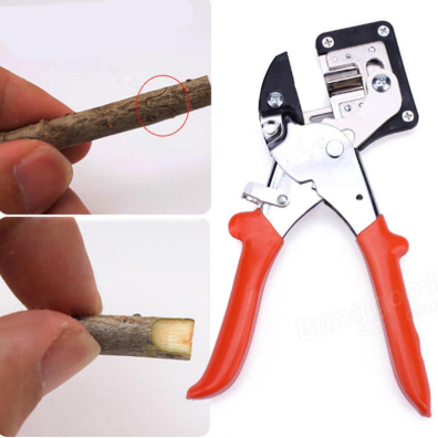 Podadora de Acero Carbono para Árboles Frutales y Plantas - Tijera de Poda Profesional
