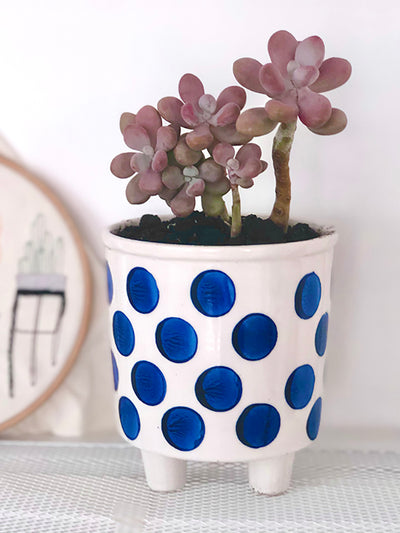 Maceta Decorativa Pintada a Mano con Cactus y Suculentas - Diseño Artístico - Image 5