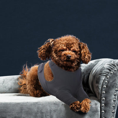 Protectores de Patas Delanteras para Perros - Doble Protección - Image 12
