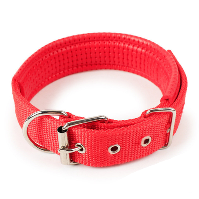 Collar para Mascotas con Forro de Cuero Suave y Espuma Protectora - Image 9