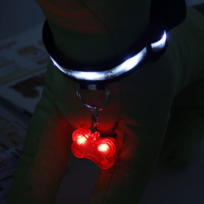 Placa de Identificación LED Forma Hueso para Mascotas - Collar de Seguridad Luminoso - Image 10