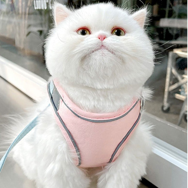 Arnés Reflectante para Gato con Correa de Tracción