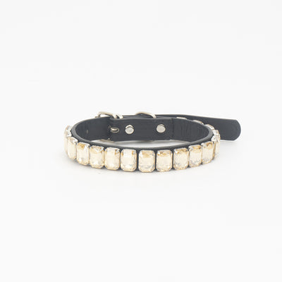 Collar de Poliuretano para Perro y Gato - Image 11