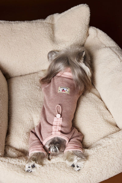 Ropa para Perros Teddy Schnauzer Bichon Bicolor Cómoda - Image 2