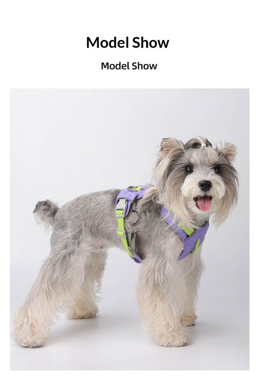 Arnés Multiusos Impermeable de Secado Rápido para Perros - Image 19