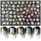 B