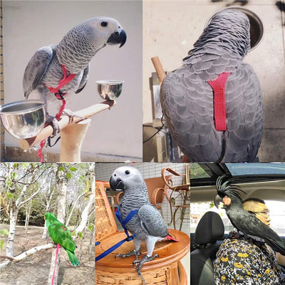 Red bird harness with a black leash shown on a yellow and green parrot. - Image 12
