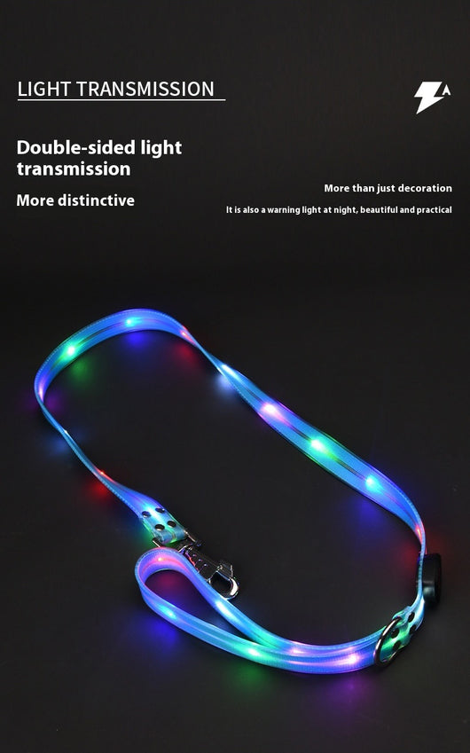 Correa LED Luminosa para Mascotas - Collar con Luz Emisora - Image 18