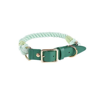 Juego de Collar y Correa para Perros Medianos y Grandes en Cuero y Algodón Tejido - Image 15