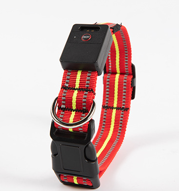 Collar Luminoso para Perro