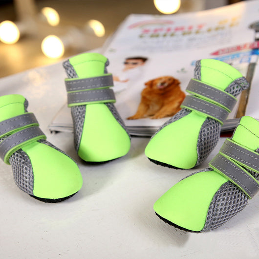 Botas Impermeables para Perros Teddy - Protección Total - Image 5