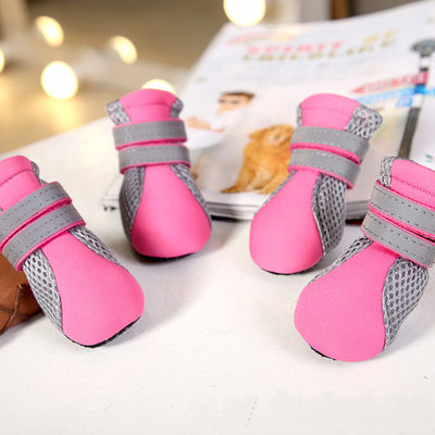 Botas Impermeables para Perros Teddy - Protección Total - Image 7
