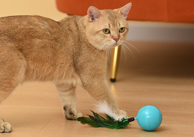 Teal cat toy with a feather and bell attachment, held in a hand against a blue and beige background. - Image 5