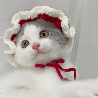 Gorro Tejido para Mascotas - Sombrero Divertido para Gatos y Perros - Image 17