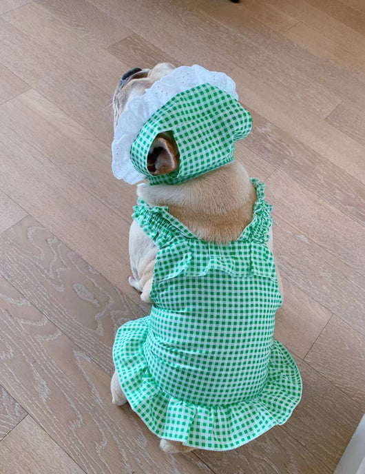 Vestido Escocés para Perro con Accesorios - Image 4