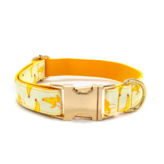 Collar de Cuerda para Mascotas con Hebilla de Metal Dorada