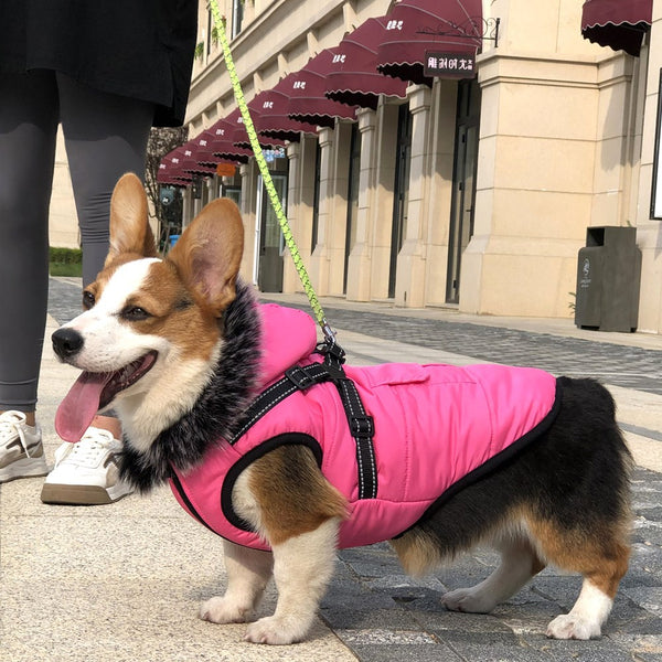 Chaleco de Algodón Acolchado Invierno con Cuello de Pelaje