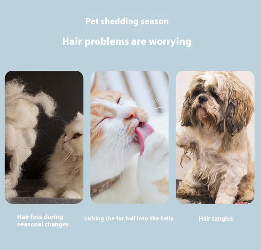 Peine Desenredante para Perros y Gatos - Limpieza Profunda de Pelaje - Image 12